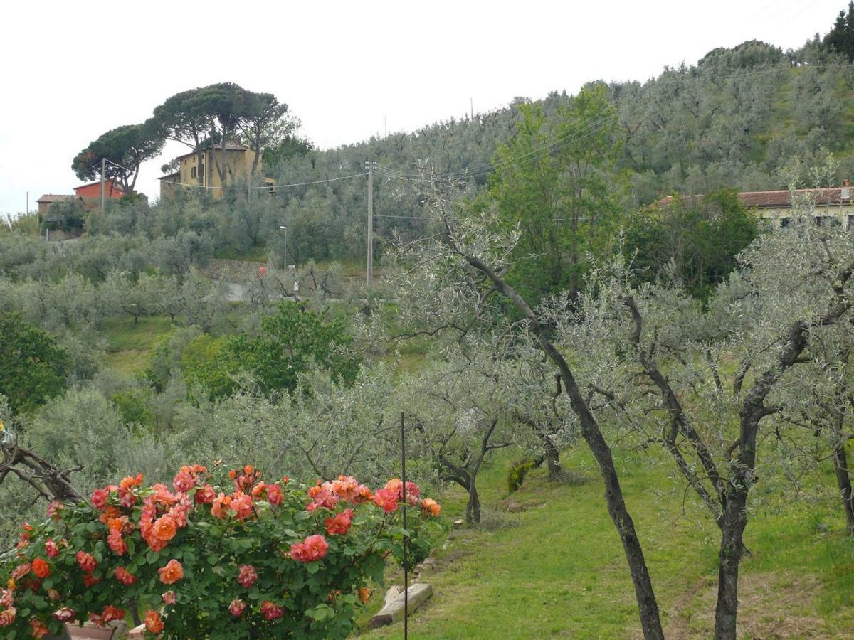 Bed and breakfast Antica Bottega Di Vinci Extérieur photo