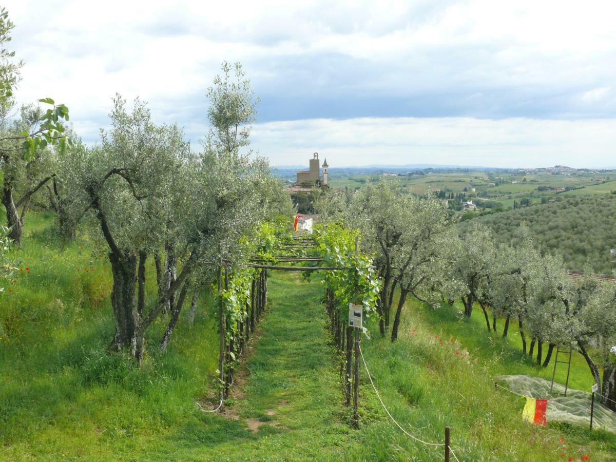 Bed and breakfast Antica Bottega Di Vinci Extérieur photo